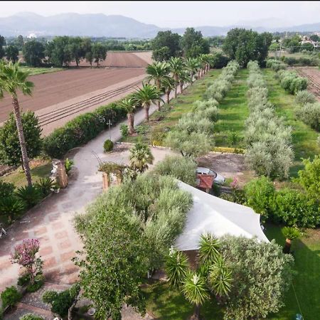 Villa Rosa Lifestyle B&B Sessa Aurunca Dış mekan fotoğraf