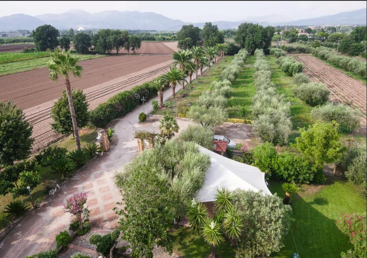 Villa Rosa Lifestyle B&B Sessa Aurunca Dış mekan fotoğraf