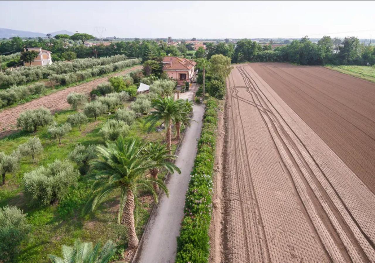 Villa Rosa Lifestyle B&B Sessa Aurunca Dış mekan fotoğraf