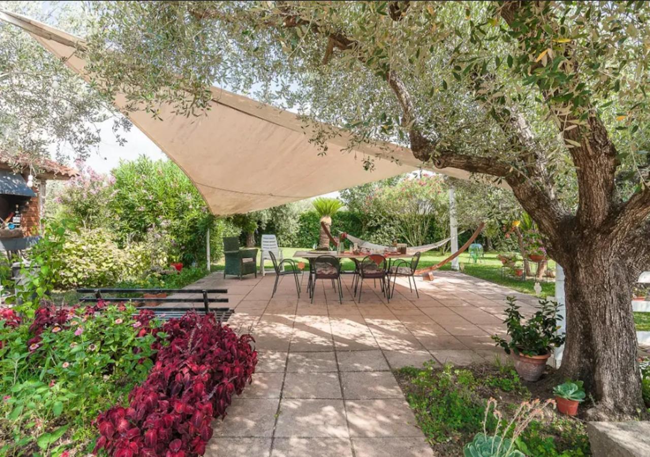 Villa Rosa Lifestyle B&B Sessa Aurunca Dış mekan fotoğraf