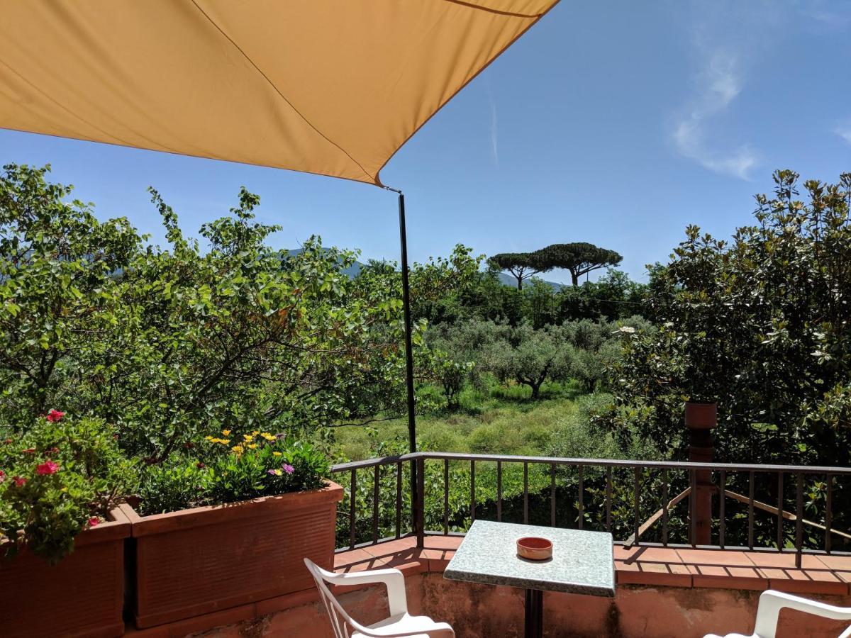 Villa Rosa Lifestyle B&B Sessa Aurunca Dış mekan fotoğraf